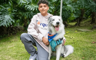ADOLESCENTE ANTIOQUEÑO DE 14 AÑOS, GENERA EMPLEOS EN ANTIOQUIA CON APLICACIÓN PARA MASCOTAS (COLOMBIA)