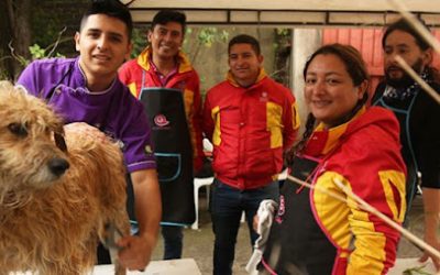 SABIAS QUE: ¿LA ALCALDÍA LOCAL DE SAN CRISTÓBAL SUR PROTEGE Y CUIDA A SUS ANIMALES? (COLOMBIA)