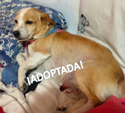 foto lucky