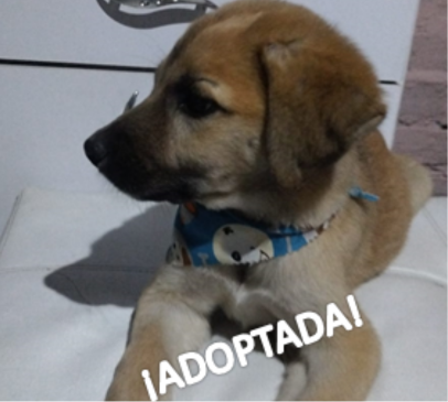 foto lucky