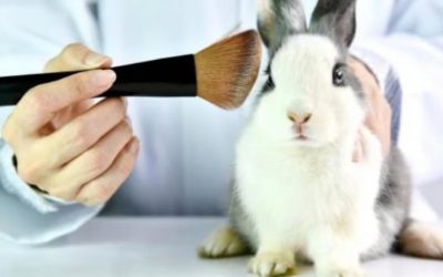 IMPLEMENTAN CAMPAÑAS PARA DIFUNDIR LA PROHIBICIÓN DE EXPERIMENTACIÓN DE PRODUCTOS COSMÉTICOS EN ANIMALES (COLOMBIA)
