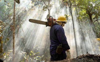 INVASIÓN HUMANA A LA NATURALEZA