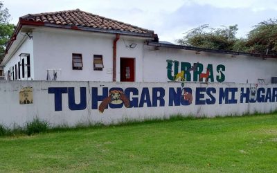 SABIAS QUÉ: ¿HAY UN LUGAR QUE SALVA ANIMALES SILVESTRES EN LA U. NACIONAL Y QUE MUCHOS NO CONOCEN? (BOGOTÁ – COLOMBIA)
