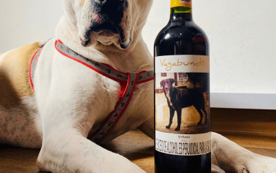 PERSONAJE: VAGABUNDO WINES, UN EMPRENDIMIENTO PARA AYUDAR A ANIMALES SIN HOGAR (COLOMBIA)