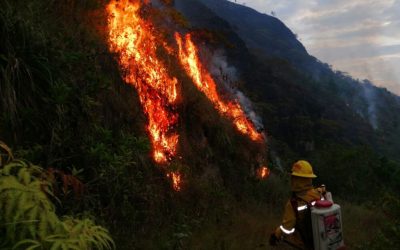INCENDIOS
