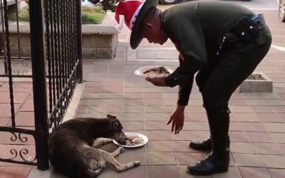 PERSONAJE: POLICÍA DE CARABINEROS CON EL PROGRAMA “POR UNA NAVIDAD FELIZ A NUESTROS AMIGOS DE CUATRO PATAS» (COLOMBIA)
