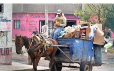 BARRANQUILLA DIJO ADIÓS A LOS VEHÍCULOS DE TRACCIÓN ANIMAL EN LAS CALLES