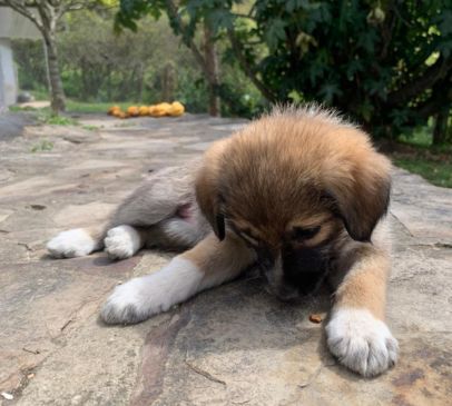 foto lucky