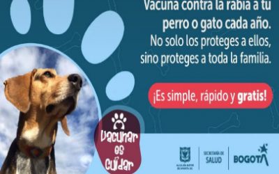 LLAMADO URGENTE A LA PREVENCIÓN POR AUMENTO DE MORDEDURAS POR RABIA EN BOGOTÁ