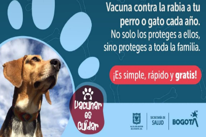 LLAMADO URGENTE A LA PREVENCIÓN POR AUMENTO DE MORDEDURAS POR RABIA EN BOGOTÁ