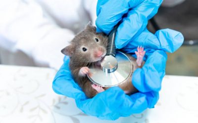 DÍA INTERNACIONAL DEL ANIMAL DE LABORATORIO