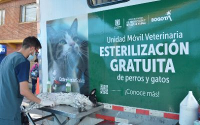 CAMPAÑAS DE ESTERILIZACIÓN GRATUITAS EN CUNDINAMARCA