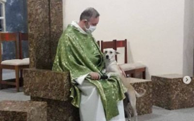 JOÃO PAULO ARAUJO, EL SACERDOTE QUE CONVIRTIÓ SU IGLESIA EN REFUGIO DE PERROS CALLEJEROS EN BRASIL