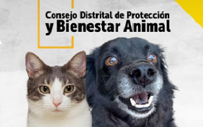 ELECCIÓN CONSEJO DISTRITAL DE PROTECCIÓN Y BIENESTAR ANIMAL BOGOTÁ, PARTICIPA, TU VOZ CUENTA