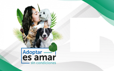ADOPTAR ES AMAR SIN CONDICIONES