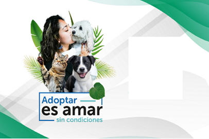 ADOPTAR ES AMAR SIN CONDICIONES