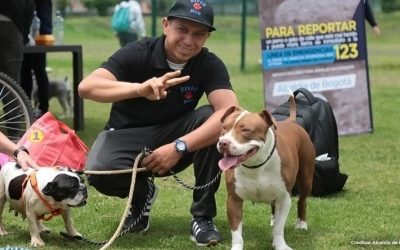 FESTIVAL «MASCOTAS AL PARQUE»