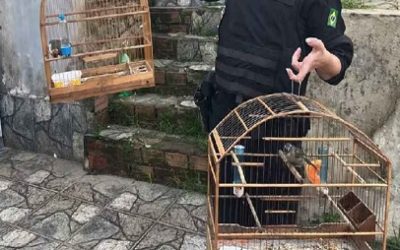 TRÁFICO DE ANIMALES: UNA AMENAZA