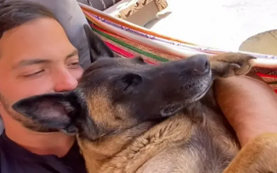 GUERRA, LA “PERRITA MÁS INTELIGENTE DE COLOMBIA