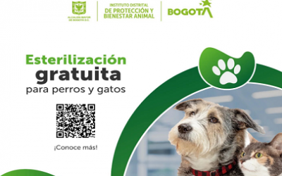EL IDPYBA ACTIVA 4 PUNTOS MÓVILES DE ESTERILIZACIÓN ANIMAL EN ZONAS ESTRATÉGICAS DE BOGOTÁ CON 15 MIL NUEVOS CUPOS