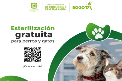 EL IDPYBA ACTIVA 4 PUNTOS MÓVILES DE ESTERILIZACIÓN ANIMAL EN ZONAS ESTRATÉGICAS DE BOGOTÁ CON 15 MIL NUEVOS CUPOS