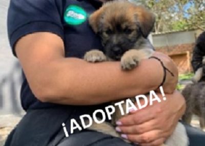 Esmeralda