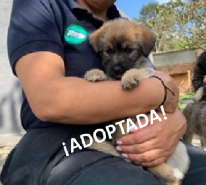 Esmeralda