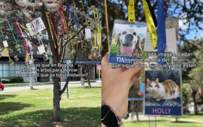 EN BOGOTÁ EXISTE UN ÁRBOL PARA HONRAR A LOS PELUDOS QUE YA TRASCENDIERON
