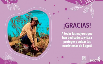 MUJERES CUIDADORAS DE HUMEDALES