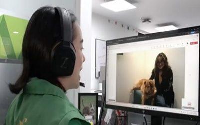 TELEVET, EL NUEVO SERVICIO GRATUITO DE TELEORIENTACION VETERINARIA EN BOGOTA