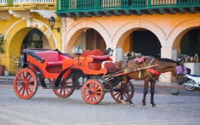 LOS CABALLOS COCHEROS DE CARTAGENA TENDRÁN UNA VIDA DIGNA A PARTIR DEL 7 DE DICIEMBRE DE 2025