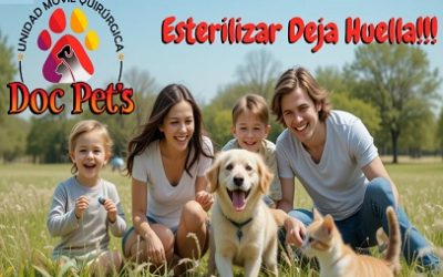 VETERINARIOS DE LA ORGANIZACIÓN DOC PET´S LUCHAN CONTRA LA SOBREPOBLACIÓN ANIMAL EN COLOMBIA.