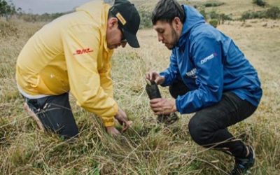 INTER RAPIDÍSIMO UNIÓ A 23 MARCAS RIVALES PARA SEMBRAR FRAILEJONES EN EL PÁRAMO DE OCETÁ Y RESTAURAR EL ECOSISTEMA