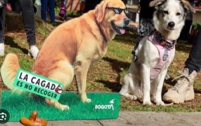 LA CAGAD* ES NO RECOGER