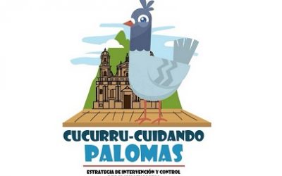 BOGOTÁ INICIA ATENCIÓN CLÍNICA DE PALOMAS EN LA PLAZA DE BOLÍVAR CON PROCEDIMIENTOS DE ESTERILIZACIÓN