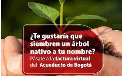 TU FACTURA VIRTUAL “UN ÁRBOL REAL