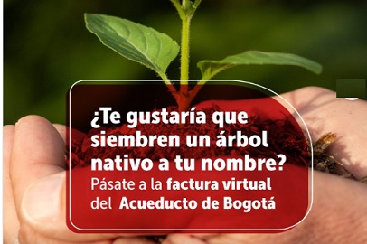 TU FACTURA VIRTUAL “UN ÁRBOL REAL