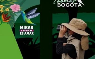 MIRAR Y NO TOCAR ES AMAR