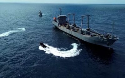 INVASIONES, SUS AMENAZAS Y LA ECOLOGIA