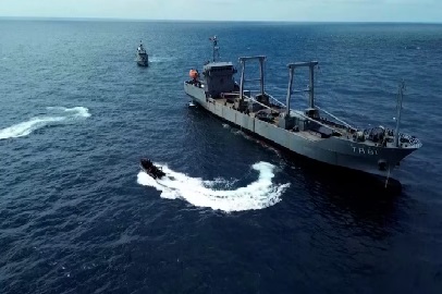 INVASIONES, SUS AMENAZAS Y LA ECOLOGIA