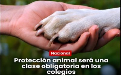 ¿LA EDUCACIÓN EN PROTECCIÓN ANIMAL, SERÁ OBLIGATORIA EN TODOS LOS COLEGIOS DE COLOMBIA?