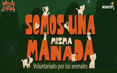 SOMOS UNA MISMA MANADA