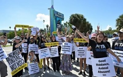 “NO MAS ABUSOS” CIERRE DEL MIAMI SEAQUARIUM
