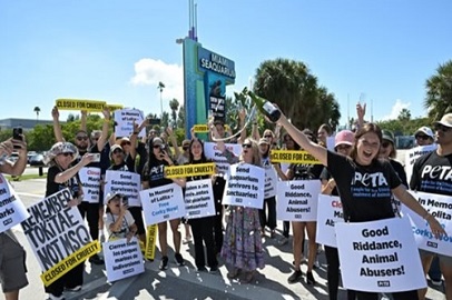“NO MAS ABUSOS” CIERRE DEL MIAMI SEAQUARIUM