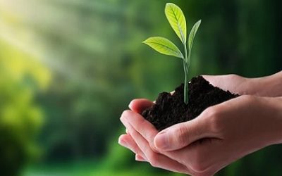 PROTECCION DE LA NATURALEZA