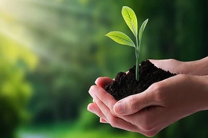 PROTECCION DE LA NATURALEZA