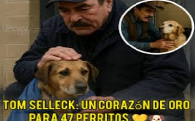 TOM SELLECK SALVA 47 PERROS DE MAPLE CREEK RESCUE