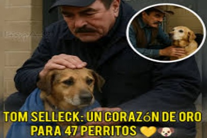 TOM SELLECK SALVA 47 PERROS DE MAPLE CREEK RESCUE