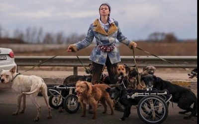 NASTYA TIKHAYA, LA JOVEN UCRANIANA QUE SALVA LOS ANIMALES QUE OTROS OLVIDARON.