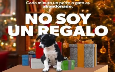“NO REGALES ANIMALES EN NAVIDAD, NO SON JUGUETES»